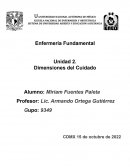 Dimensiones del Cuidado