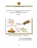 Transferencia de Calor por conducción Régimen Estacionario y Transitorio