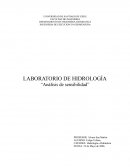LABORATORIO DE HIDROLOGÍA “Análisis de sensibilidad”
