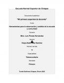 MI EXPERIENCIA DOCENTE EN TELESECUNDARIA