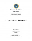 EXPECTATIVAS CAMBIARIAS DE VENEZUELA