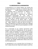 LA IMPORTANCIA DE LA AGROINDUSTRIA EN EL PERU