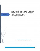 DIRECCIÓN DE LIDERAZGO Y EXCELENCIA OPERACIONAL