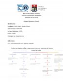 Sistemas Operativos practica 3 y 4