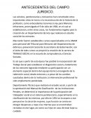 Antecedentes del campo jurídico