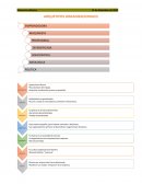 ARQUETIPOS ORGANIZACIONALES