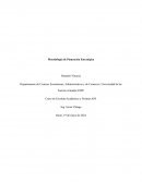 METODOLOGIA DE PLANEACION ESTRATEGICA