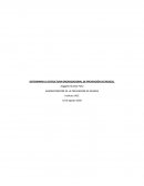 Administración de la prevención de riesgos