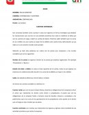 CUENTAS CONTABLES ENSAYO