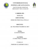 CUESTIONARIO PROCESAL PENAL