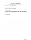 TÉRMINOS DE REFERENCIA SERVICIO DE MONITOREO AMBIENTAL