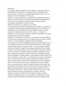 Teorías criticas de la sociedad de masas