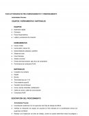 Actividades de pre-comisionamiento y comisionamiento