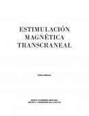 ESTIMULACIÓN MAGNÉTICA TRANSCRANEAL