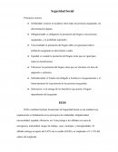 Tutoría sobre seguridad social y el IESS