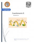 Biologia Enfermedades por una mala alimentacion