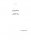 CRÓNICA “El Cubo”