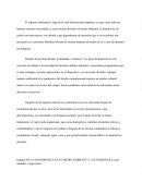 El impacto ambiental