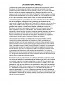LA ETERNA ERA AMARILLA