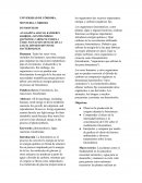 Biologia general, fotosintesis