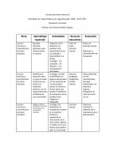 Planes lengua materna español