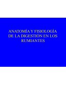 FISIOLOGIA DE LA DIGESTION EN LOS RUMIANTES