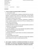 ¿Cuál es el ámbito de actividad de Netflix? Identifíquelo