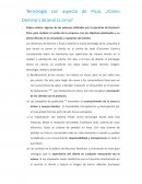 Tecnología con aspecto de Pizza: ¿Cómo Domino´s alcanzó la cima?