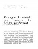 Estrategias de mercado para proteger los derechos de propiedad