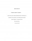Informe Práctica #2 Compuestos orgánicos e inorgánicos