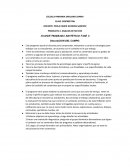 AVANCE PROGRAMA SINTETICO