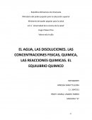 EL AGUA, LAS DISOLUCIONES. LAS CONCENTRACIONES FISICAS, QUIMICA, LAS REACCIONES QUIMICAS. EL EQUILIBRIO QUIMICO