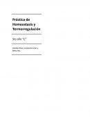 Practica de Homeostasis y Termorregulación