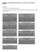 Actividad Descripción de las ramas de la filosofía y de su objeto de estudio