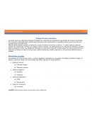 Trabajo Práctico Evaluativo