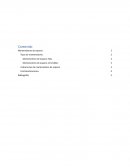 Mantenedores de espacio