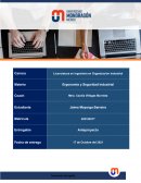 Ejemplos de las Normas Oficiales Mexicanas de la STPS