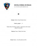 Ley general de las personas con discapacidad