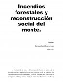 Incendios forestales y reconstrucción social del monte