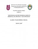IMPORTANCIA SOCIOECONOMICA E IMPACTO AMBIENTAL DEL BENCENO Y SUS DERIVADOS