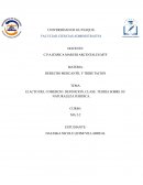 El ACTO DEL COMERCIO: DEFINICION, CLASE. TEORIA SOBRE SU NATURALEZA JURIDICA