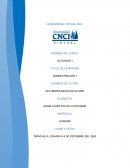 TEORÍA DE LA BUROCRACIA