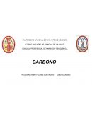 CARBONO