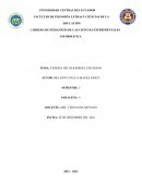 TEORÍAS DEL DESARROLLO HUMANO