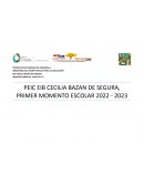 PLAN DE ACCION PEIC 2022-2023