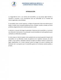 NARCOTRAFICO EN MÉXICO. Página 1