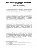 Plan de trabajo para la formulación del plan provincial de cultura de ica