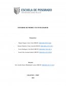 INFORME DE PRODUCTO INTEGRADOR