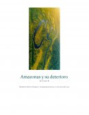 Amazonas y su deterioro