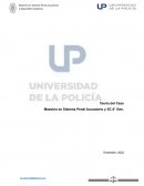 Maestría en Sistema Penal Acusatorio y SC 6° Gen